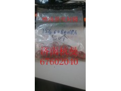 VG1540080018A,噴油器密封圈,濟(jì)南杭曼汽車配件有限公司