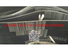 VG1062060017,多楔帶皮帶,濟(jì)南瑞隆工貿(mào)重卡動(dòng)力專(zhuān)營(yíng)