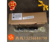 61560080305,噴油器總成,濟南凱爾特商貿(mào)有限公司