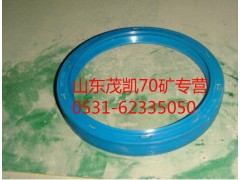 WG9970320123,70礦中橋角齒油封,山東茂凱商貿有限公司