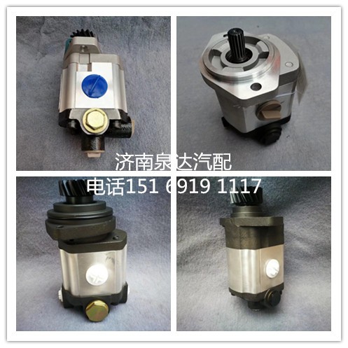 中聯(lián)重科浦沅50噸起重機(jī)吊車方向助力泵轉(zhuǎn)向泵齒輪油泵/QC32/15-WP-SY