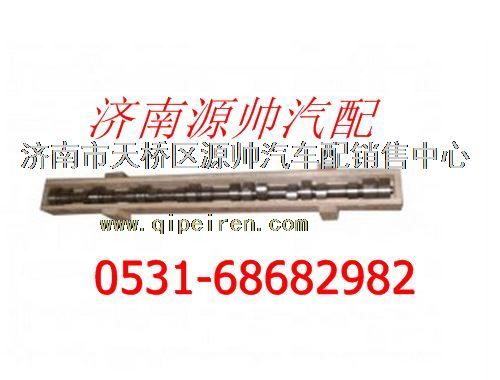 61500050096,濰柴WP10發(fā)動(dòng)機(jī)凸輪軸,濟(jì)南源帥汽車(chē)配件有限公司